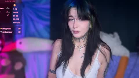 Teya online show from April 24, 7:11 am