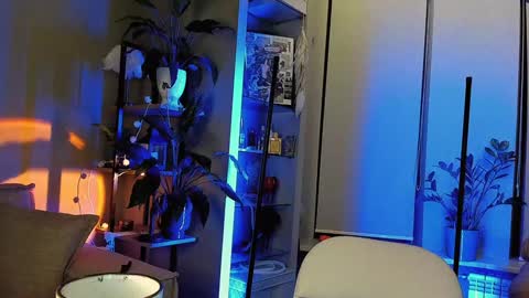 Sunshine online show from December 18, 4:42 am