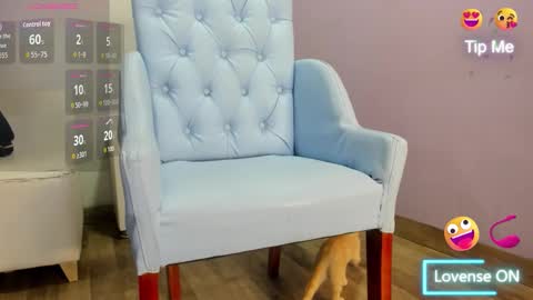  candy jade  online show from November 17, 11:55 am