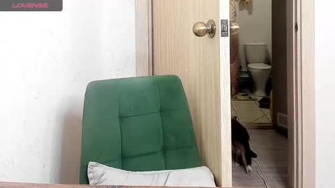 Alis online show from March 3, 3:26 pm