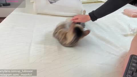  fullmoon online show from March 21, 7:19 pm