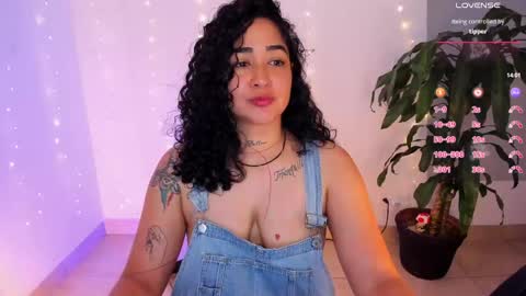     online show from April 22, 12:13 pm