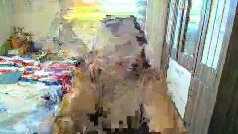 Anya online show from April 26, 2:09 am