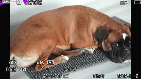 Alexa online show from November 28, 6:38 am