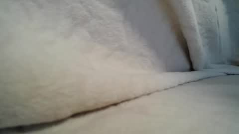 Adelin online show from March 26, 11:01 am