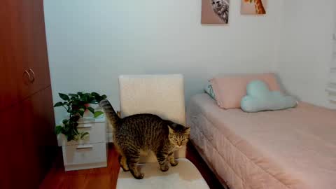 Snapshot of aitanaa1_ chatting on February 22, 1:33 am Aitana online show from February 22, 1:33 am