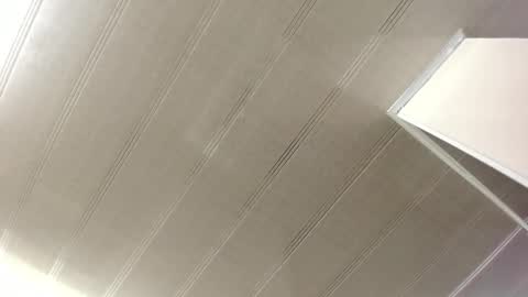 Maeve  online show from February 12, 10:35 am