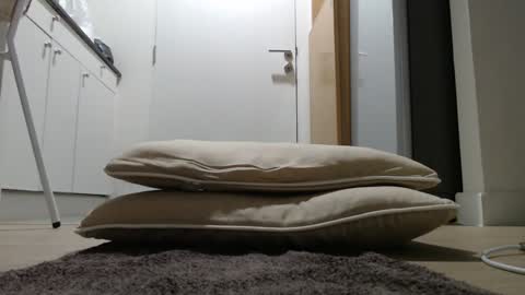 Nicha online show from October 15, 4:59 am