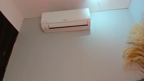 ALICE  online show from November 21, 5:31 am