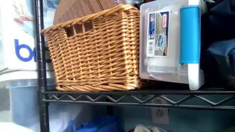 allyanalangel online show from January 5, 6:33 pm