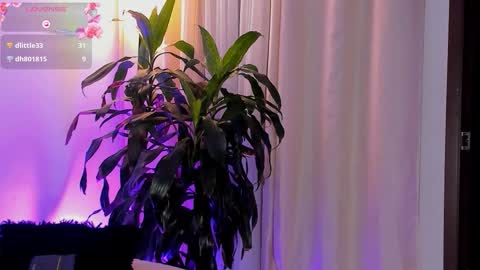 Amatista online show from October 11, 2:38 am