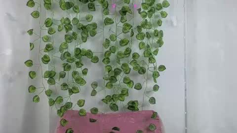 Amber  online show from April 24, 1:25 pm