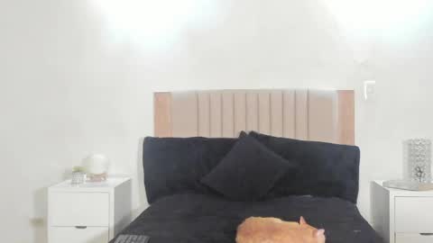 Ana Henao or Annie... Follow me ahenaocb Insta  X online show from April 21, 12:47 am