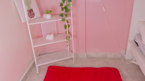 Kendra  online show from January 12, 11:37 am