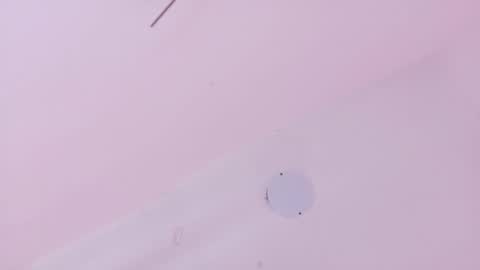 A n d r  e a S w e e t  online show from March 21, 7:41 pm