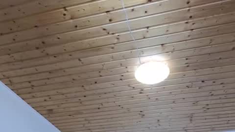 Giulia online show from April 24, 12:30 pm