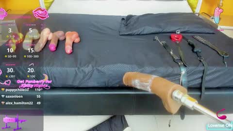 Ani  Time schedule 0600 - 1400 GMT -5 online show from November 9, 11:17 am