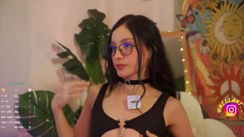 Nell. online show from February 26, 2:21 am