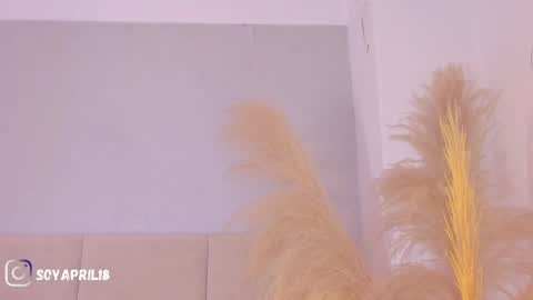 April online show from April 20, 10:40 am