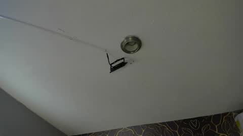  SOFIA online show from December 30, 8:04 pm