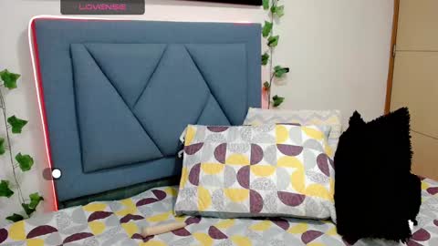 ashley online show from February 6, 11:20 am