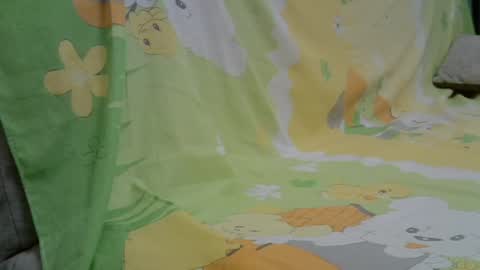 Ashley online show from October 22, 10:42 am