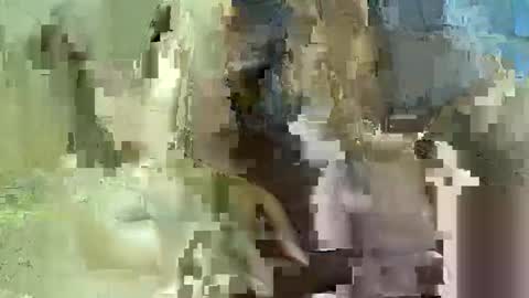 Snapshot of assbaby5 chatting on October 1, 2:49 am assbaby5 online show from October 1, 2:49 am