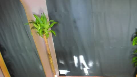 Audry online show from February 20, 12:39 pm