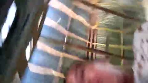 auroraangels1 online show from June 11, 12:24 pm
