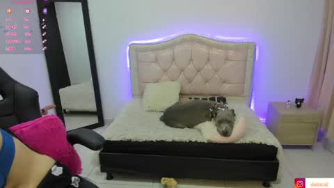 Dulce  Stefa  online show from June 7, 7:48 am