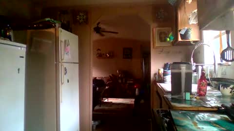 Badbitch520 online show from April 26, 10:29 pm