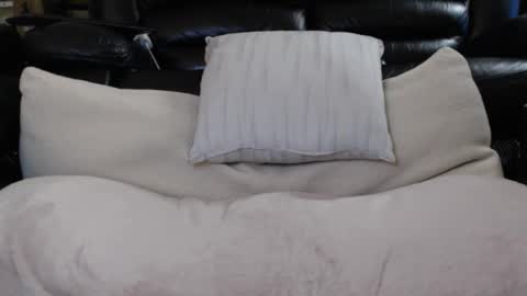 Julie online show from November 24, 3:14 pm