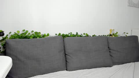 Juli online show from April 2, 6:33 am