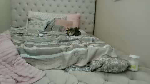 Beauty online show from December 15, 8:14 pm