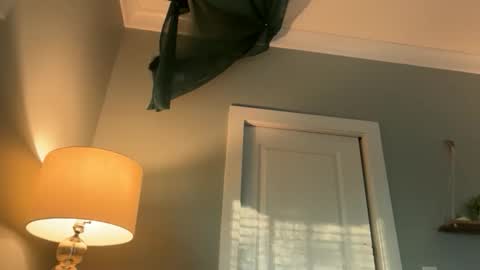 bendlikebecks online show from March 23, 12:22 pm