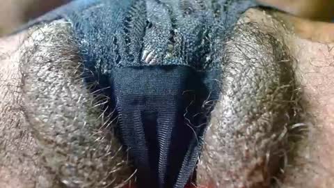 Bethany Wilson online show from January 24, 3:34 pm