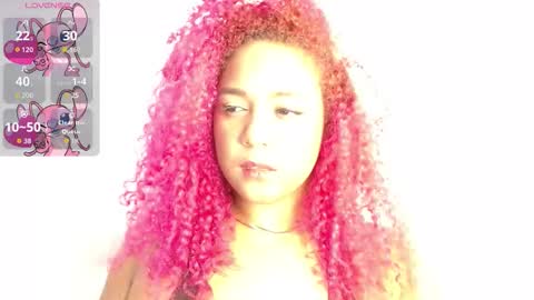 Dahlia online show from January 6, 7:01 am