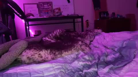 blondebunny999 online show from January 7, 1:53 am