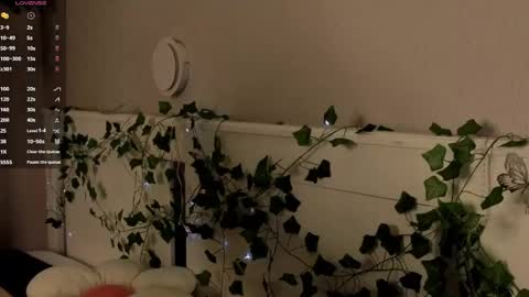 Dolores online show from April 24, 5:54 am