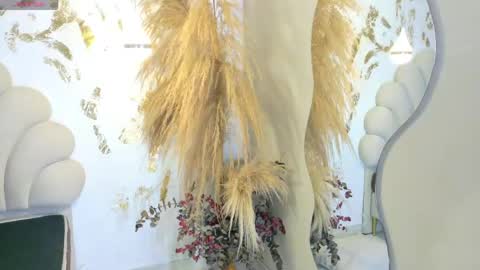 bonieklent online show from April 27, 4:09 am