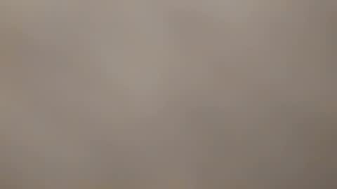 Bonnie  online show from February 28, 9:33 pm