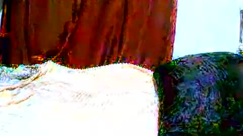 dee online show from April 13, 12:01 am