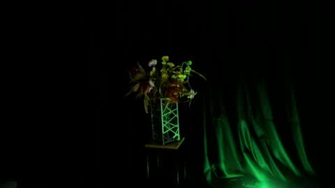 BubbleJereth online show from January 17, 11:59 am