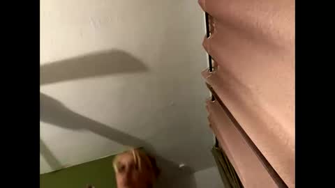 bunnibaby333 online show from November 5, 7:02 am