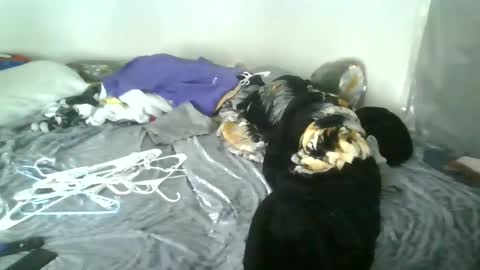 Snapshot of bunniebai chatting on December 3, 4:06 pm bunniebai online show from December 3, 4:06 pm