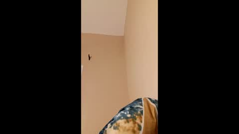 bustyirie online show from April 24, 7:27 pm