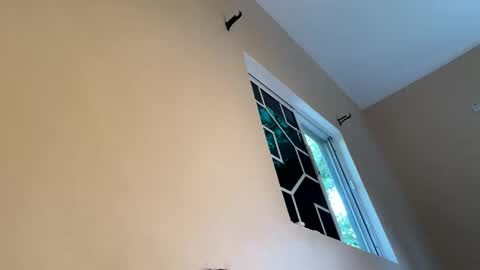 bustyirie online show from April 9, 2:55 pm