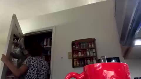 calishop1 online show from October 3, 2:55 pm