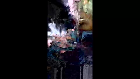 Camelia online show from May 6, 11:09 pm