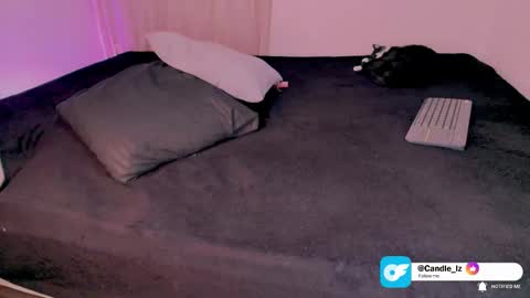 candle_lz online show from November 22, 5:21 am